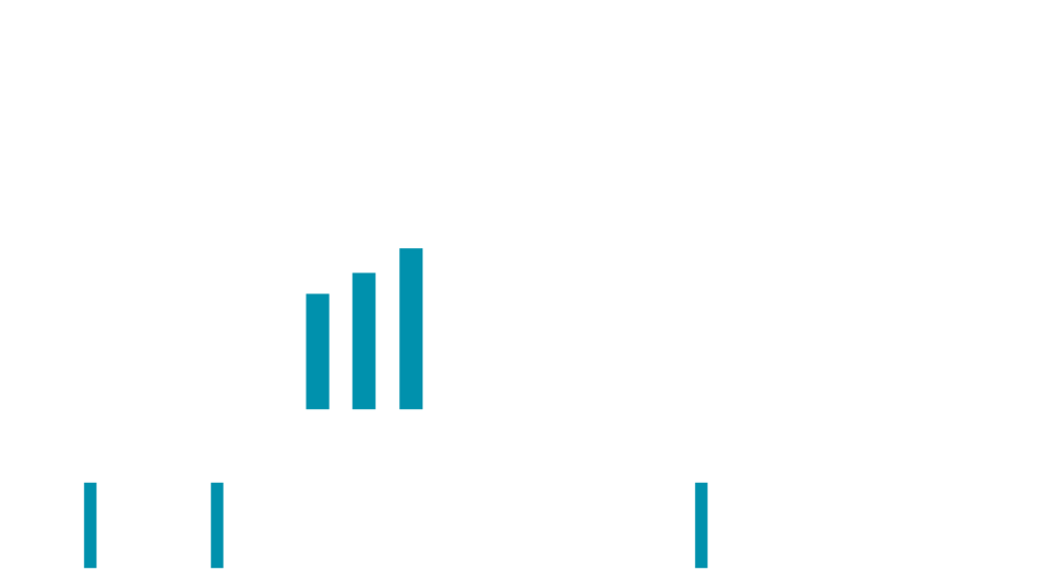 Digital Advisory